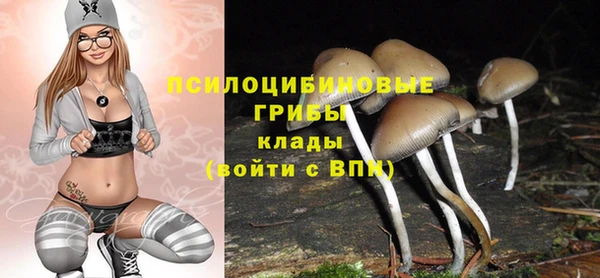 jwh Верея