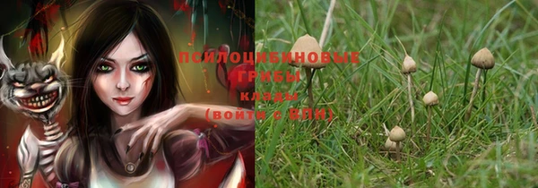 ALPHA-PVP Володарск